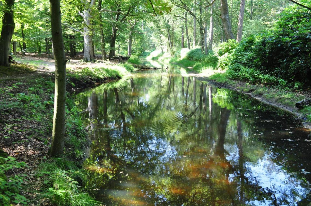 Gasterij Leyduin Villa Vogelenzang Luaran gambar