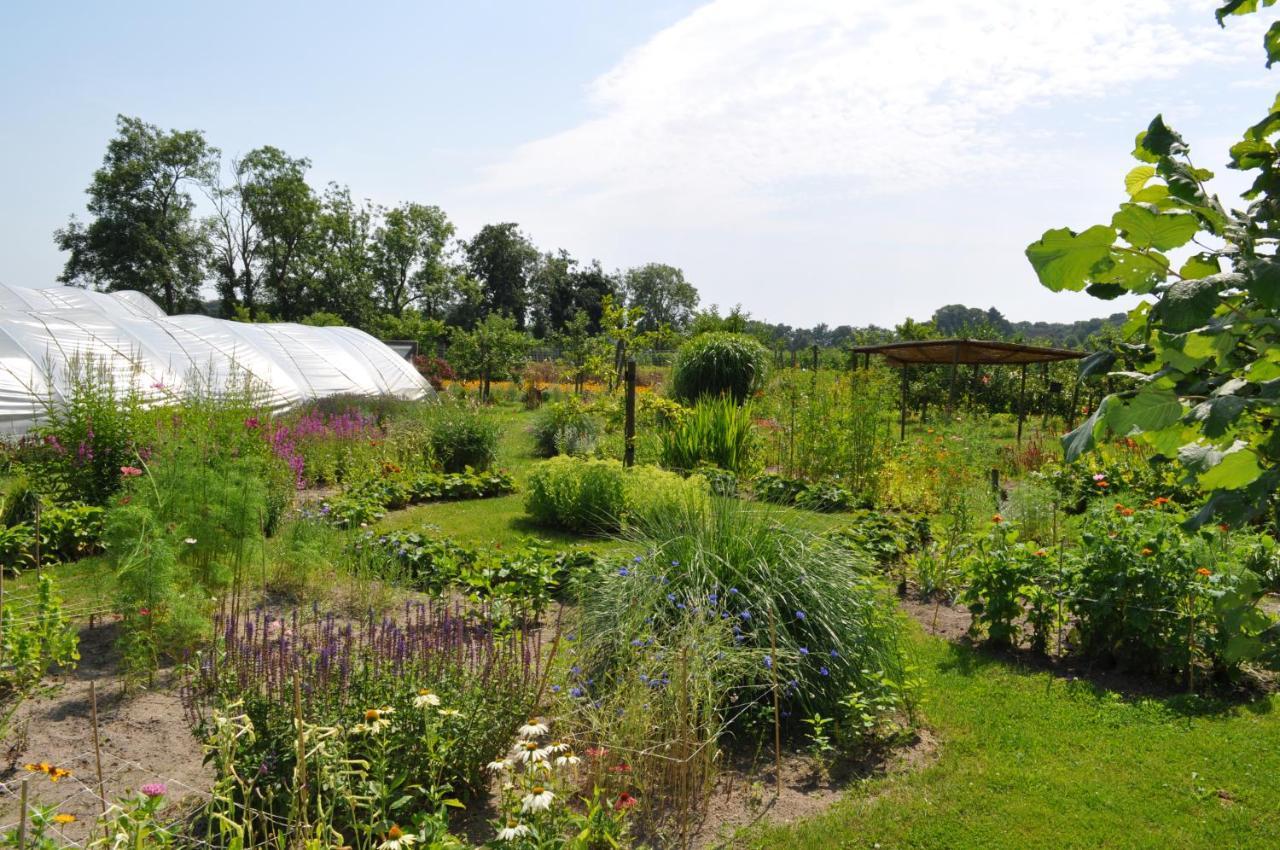 Gasterij Leyduin Villa Vogelenzang Luaran gambar