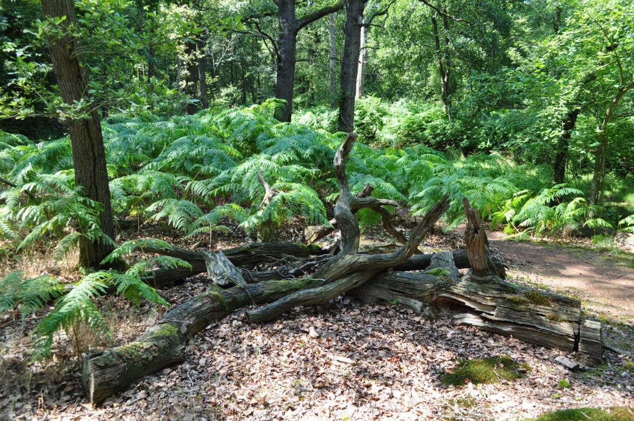 Gasterij Leyduin Villa Vogelenzang Luaran gambar